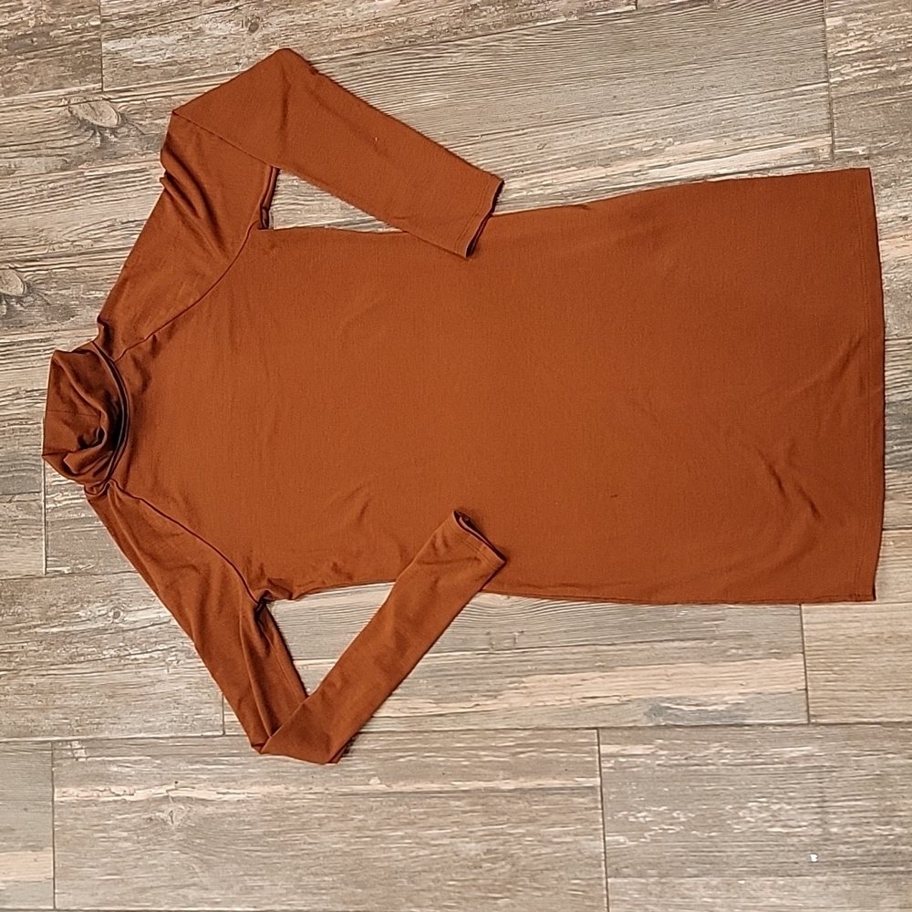 FOREVER 21 BODYCON TURTLENECK DRESS
